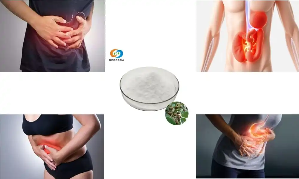 Helicid Powder vs Omeprazole: Which Works Better?